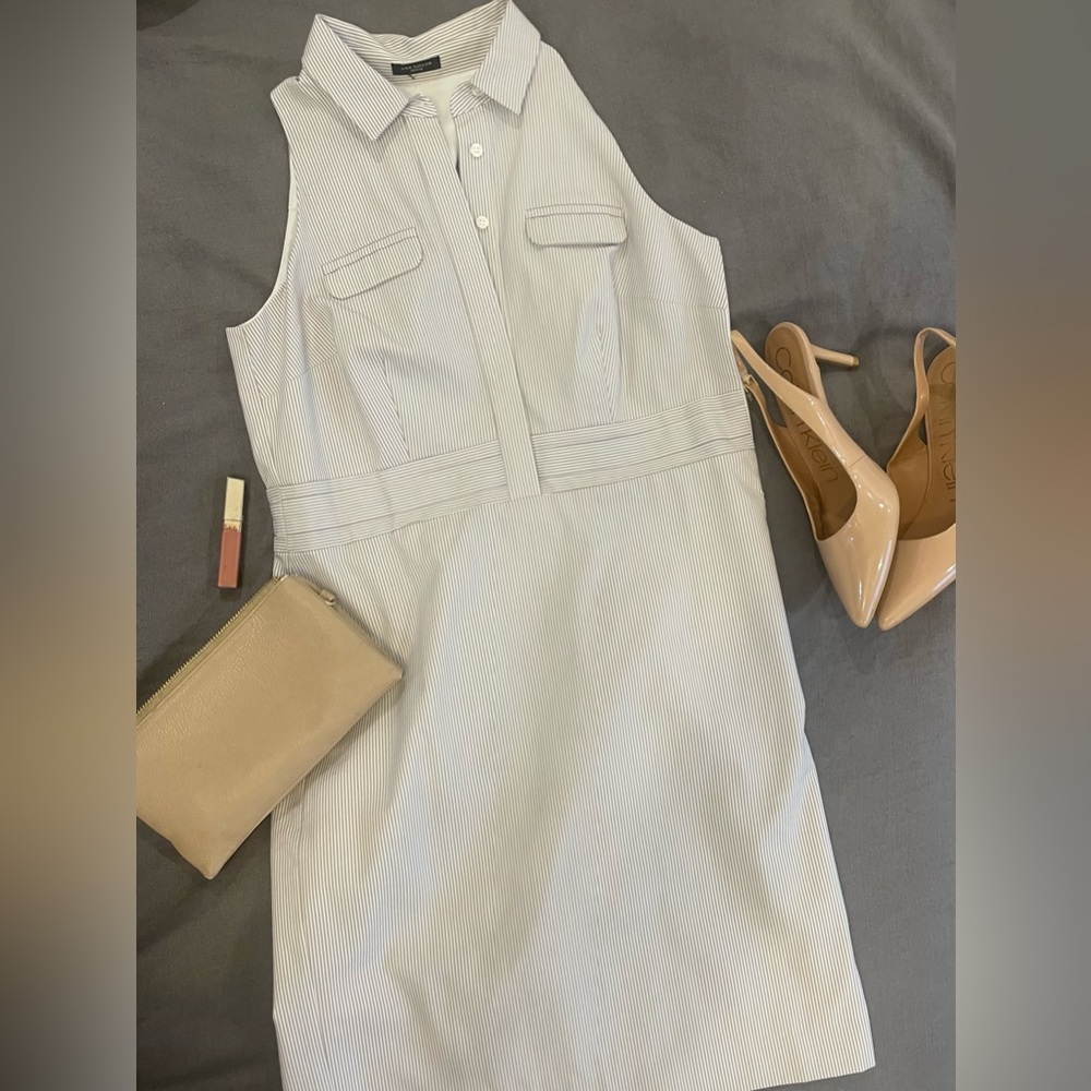 Ann Taylor Petite Dress